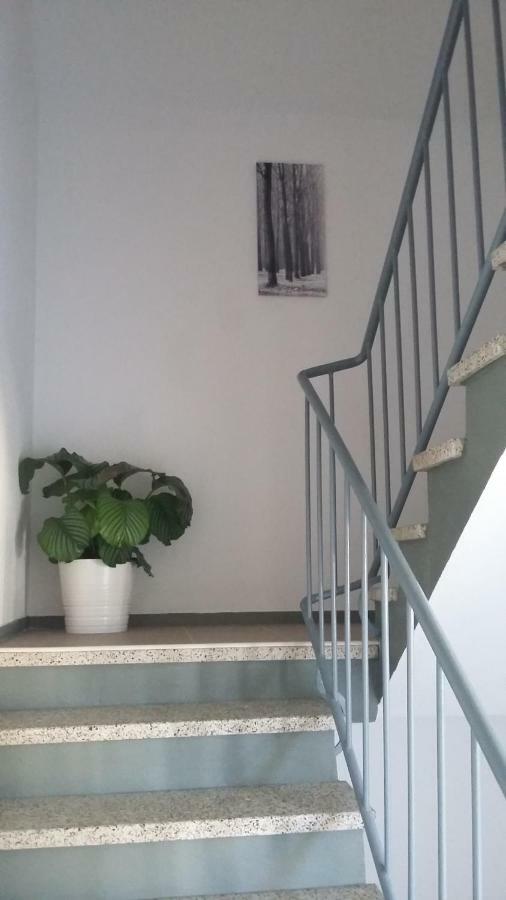 Mistel Apartman ボーデンスドルフ エクステリア 写真