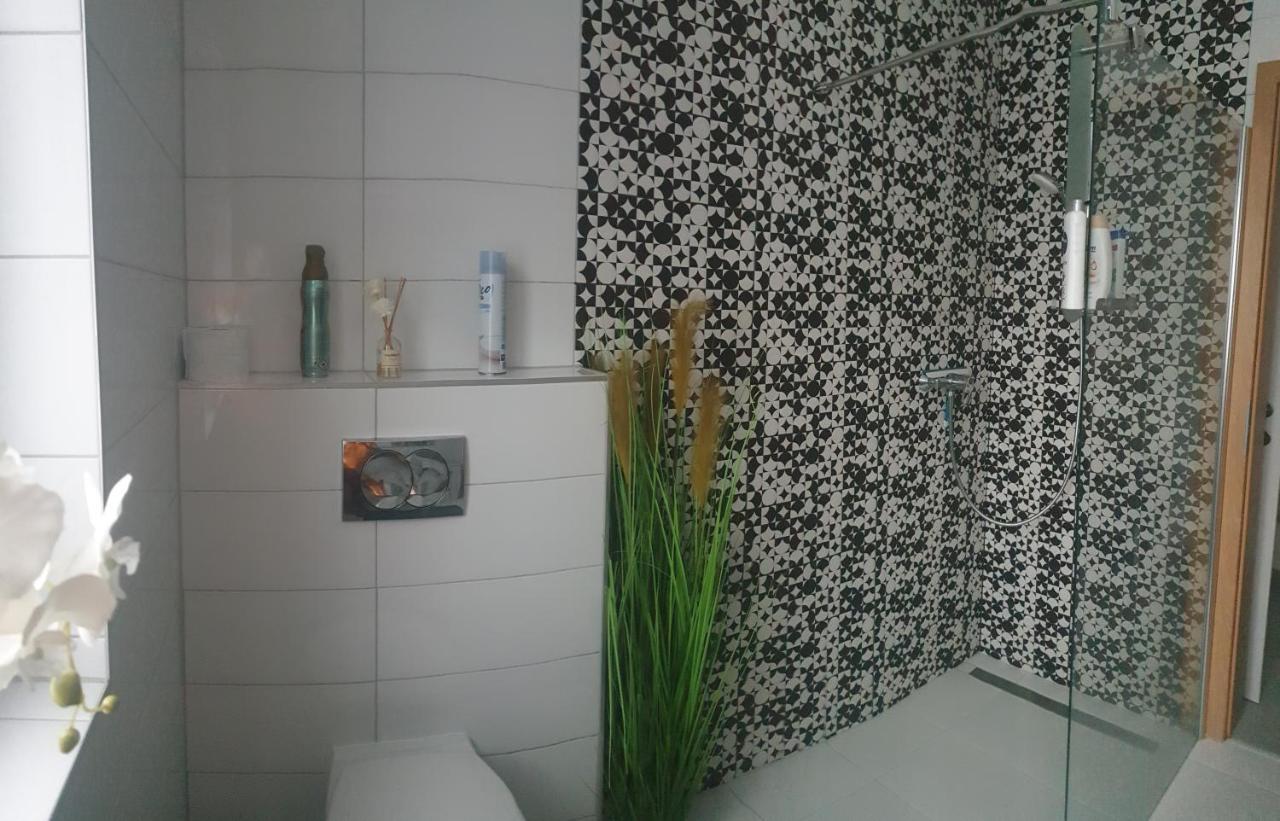 Mistel Apartman ボーデンスドルフ エクステリア 写真